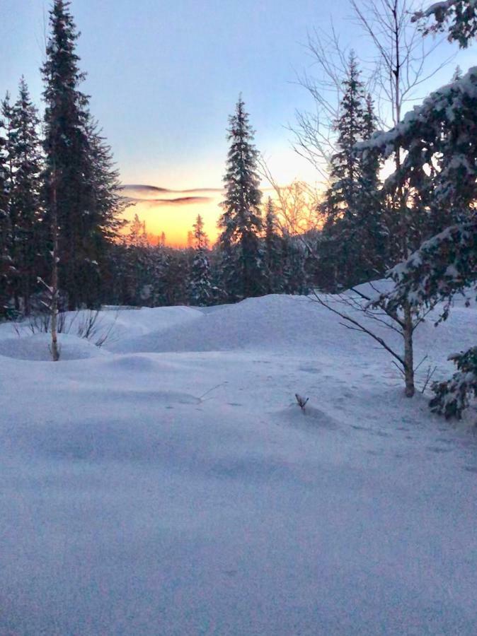 Villa Karhuntaehti Luosto Buitenkant foto